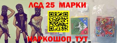 PSILOCYBIN Гатчина