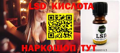 PSILOCYBIN Гатчина
