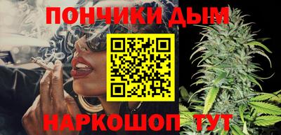 PSILOCYBIN Гатчина