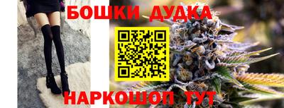 PSILOCYBIN Гатчина