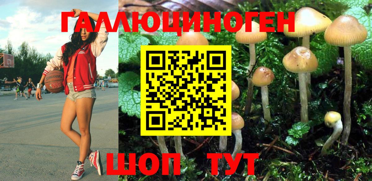 Галлюциногенные грибы Psilocybe Мценск